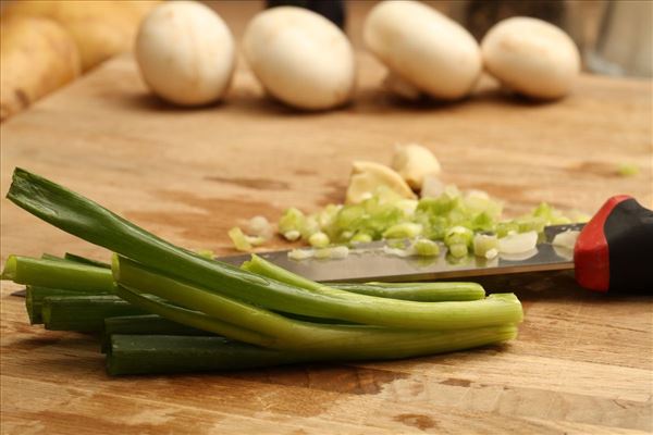 Svinemørbrad med squash i tomatsauce