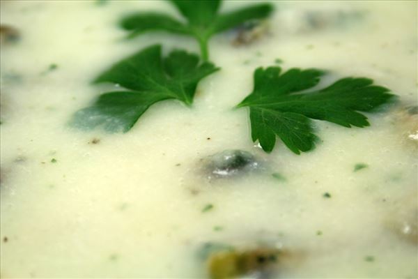 Blomkålssuppe med champignon