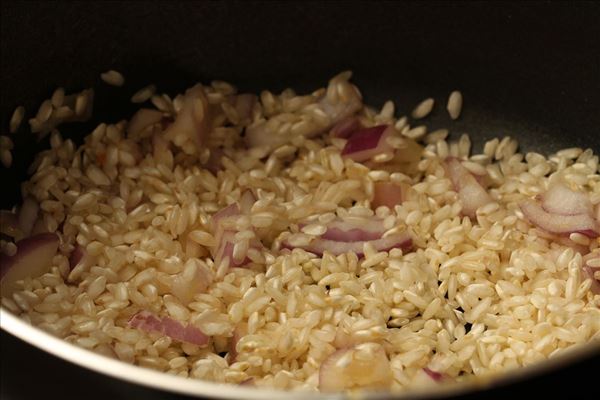 Risotto med grønsager