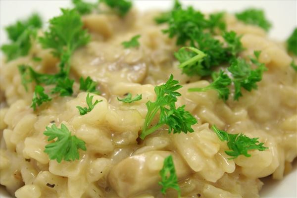 Risotto