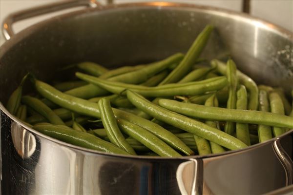 Sejfilet med champignonauce og små kartofler