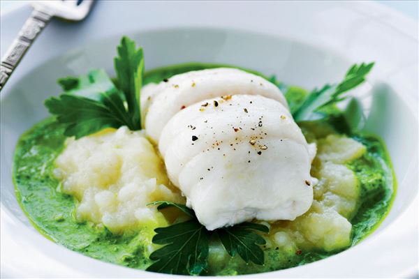 fusionere Vind Betsy Trotwood Rødtunge med østers-persillesauce - Madopskrifter.nu