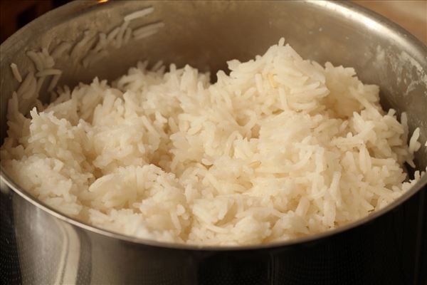 Gryderet med ris