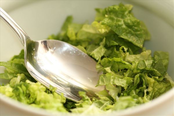 Salat med olie/eddike dressing