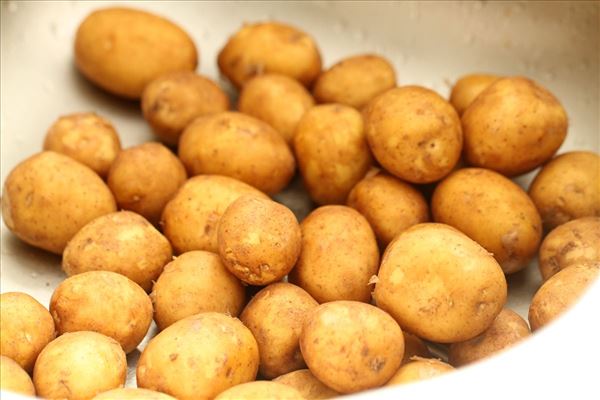 Nye kartofler med persillesauce og frikadeller