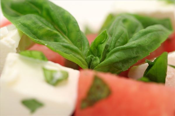 Vandmelonsalat med feta og basilikum