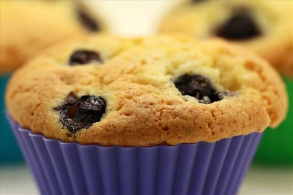 Marcipanmuffins med hvid chokolade og blåbær