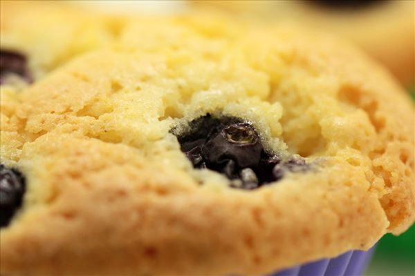 Marcipanmuffins med hvid chokolade og blåbær