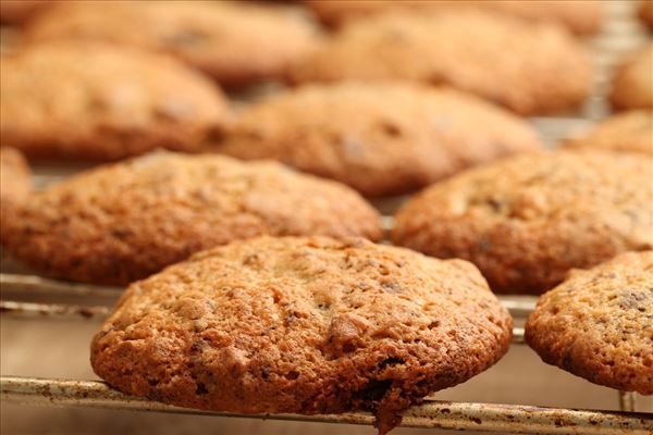 Chokolade cookies med nødder