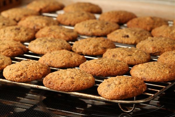 Chokolade cookies med nødder