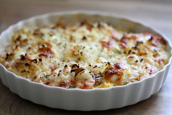 Æg/tomat gratin