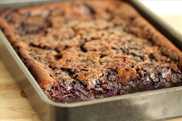 Blåbærkage med mørk chokolade