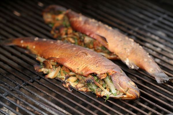 Grillet forel med kartofler og bretange sovs