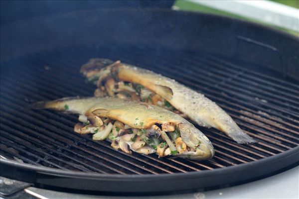 Grillet forel med kartofler og bretange sovs