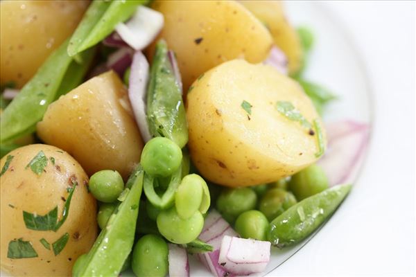 Grøntsagsruller med en frisk kartoffelsalat