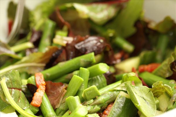 Grøn salat med asparges og avocado