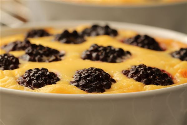 Brombærcheesecake - fedtfattig