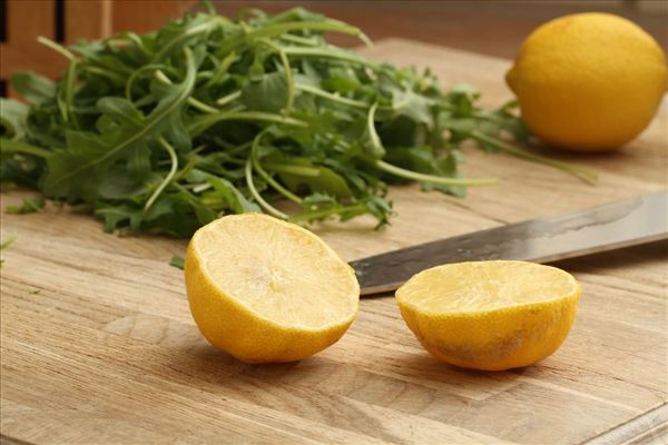 Røget lakserulle med citroncreme og rucolasalat