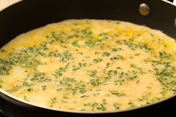 Omelet med parmesanost