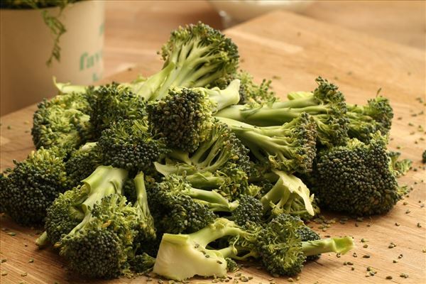 Urtebagt laks med broccoli