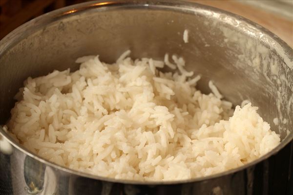 Karryragout med ris