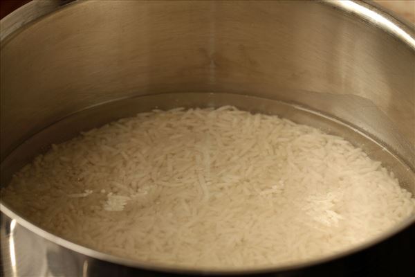 Karryragout med ris