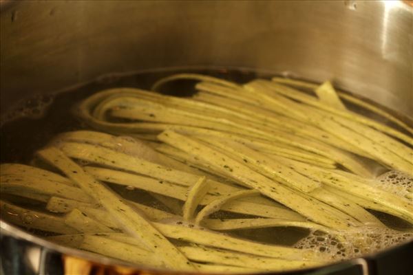 Frisk pasta med laks og spinat i fløde